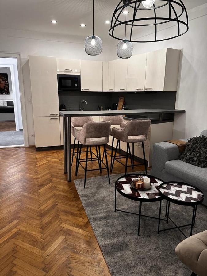 Riverside Apartment Karlovy Vary Kültér fotó