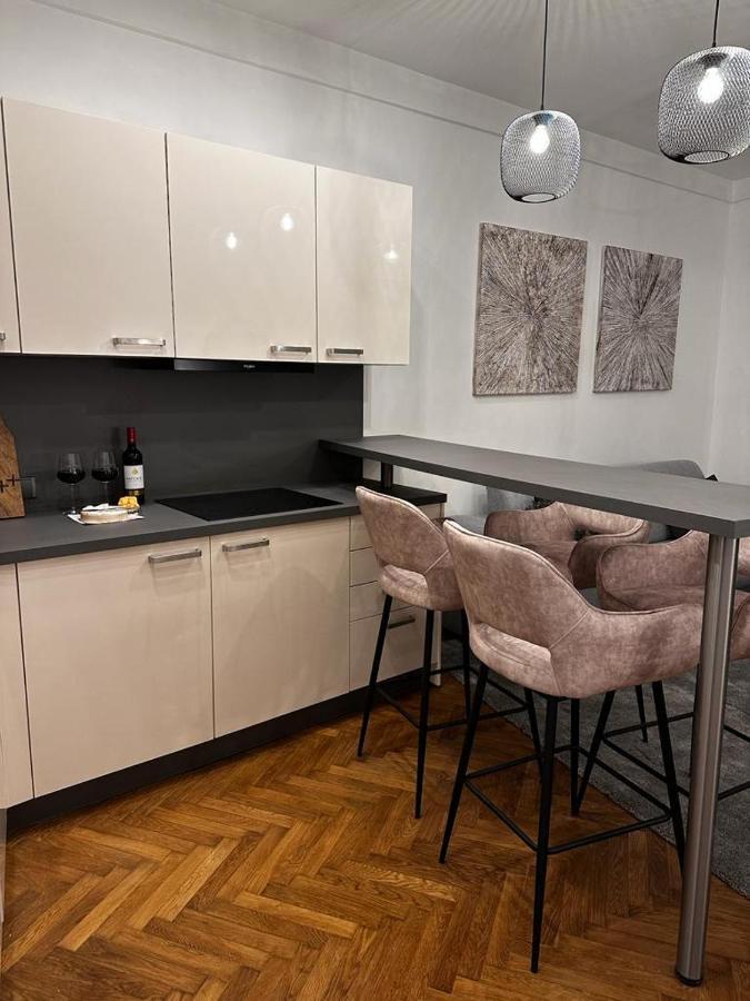 Riverside Apartment Karlovy Vary Kültér fotó